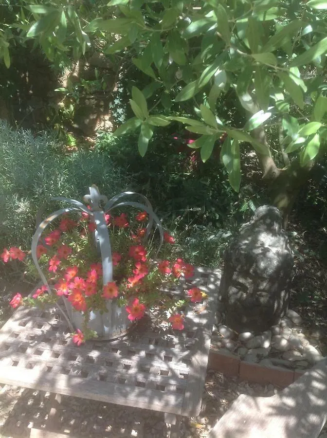 Bed and Breakfast Le Petit Figuier La Roque-d'Antheron